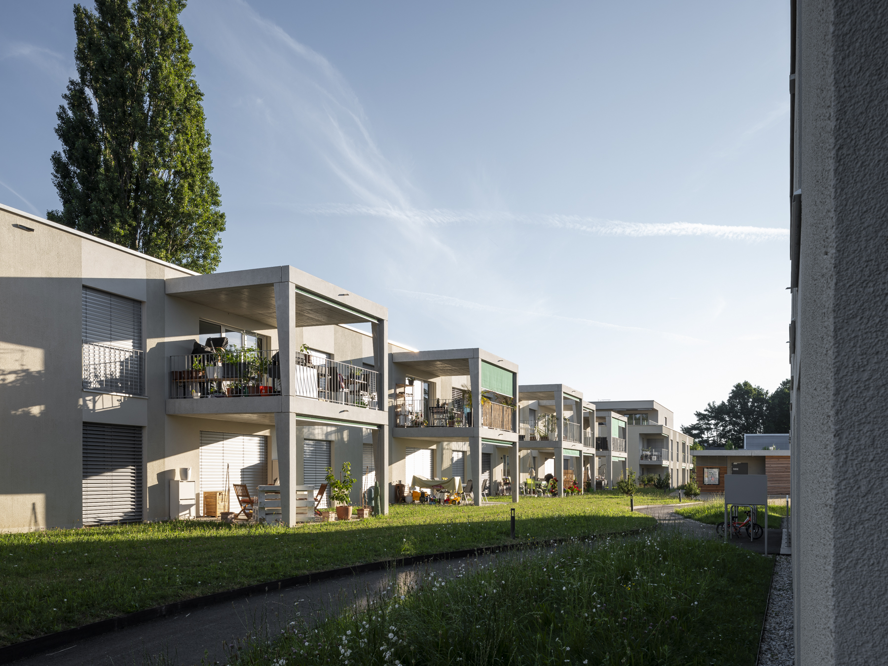 BRICKS_LES MOSAIQUES_5