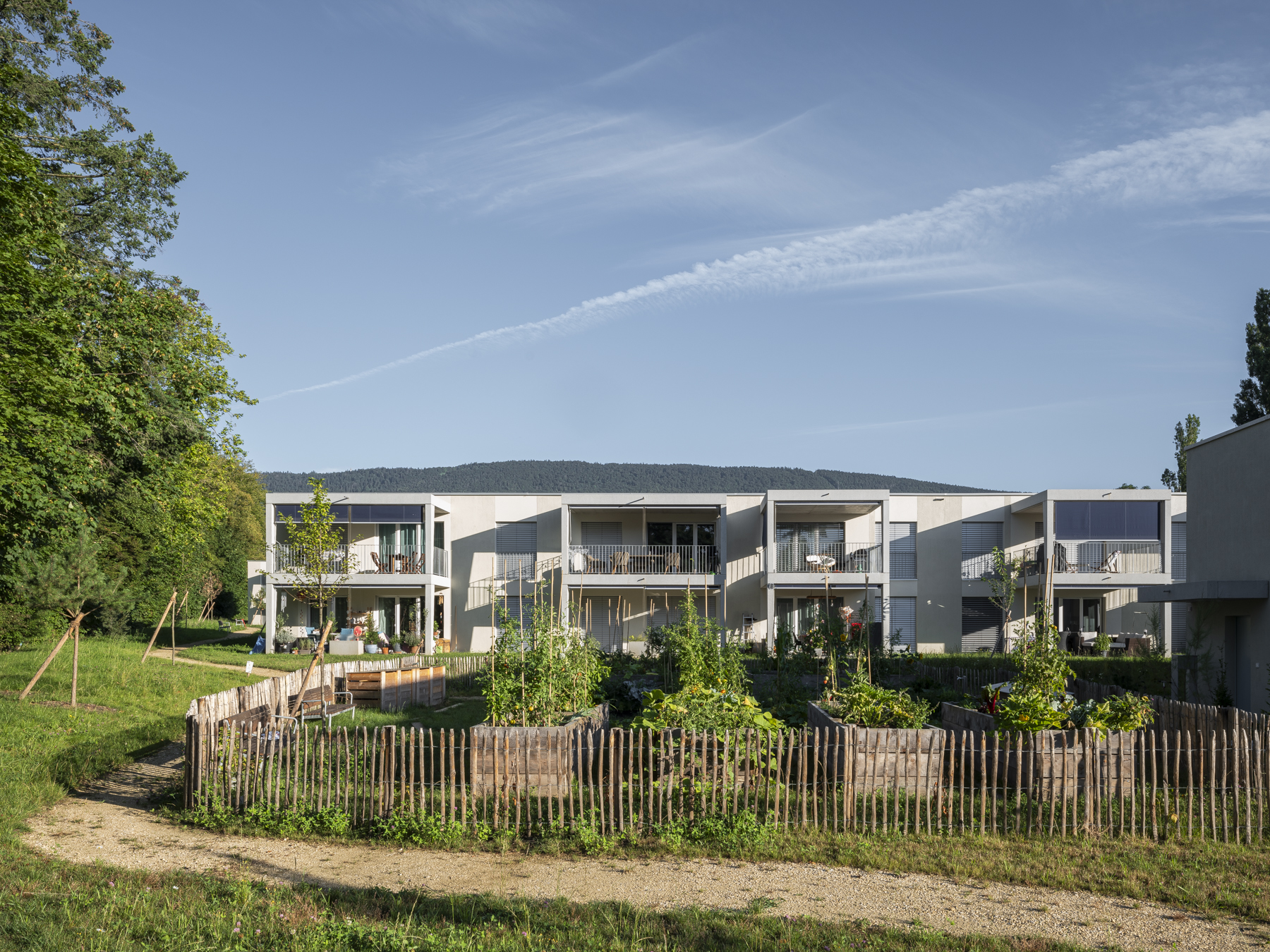 BRICKS_LES MOSAIQUES_6