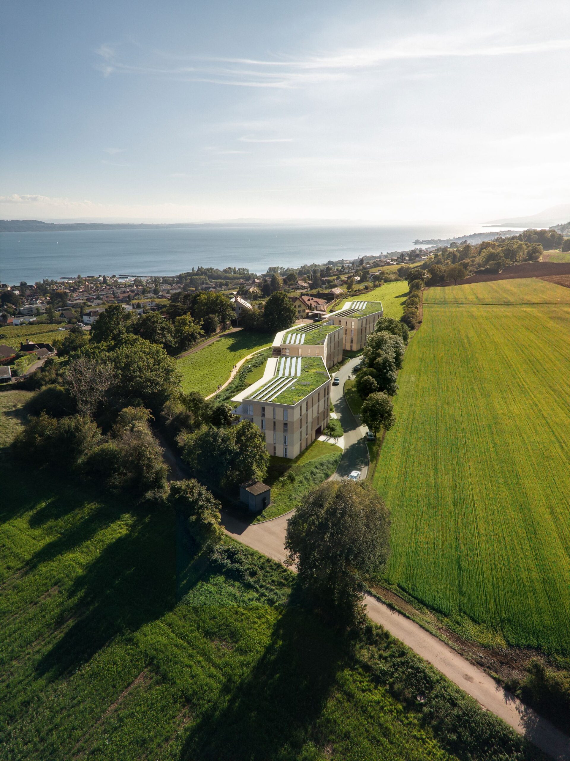 BRICKS_LES COTEAUX DE LATENA_4